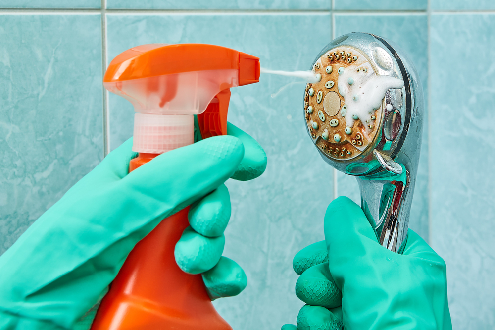 best shower cleaners
