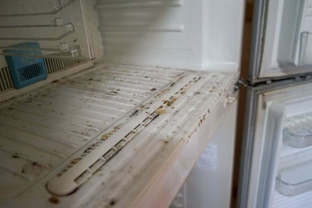 deep clean your fridge