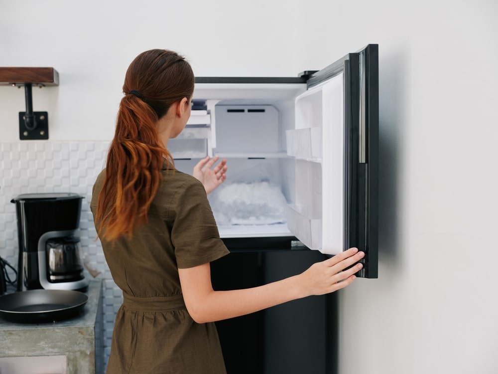 Freezer Organization Tip