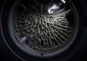 Close-up of biofilm inside a washing machine.