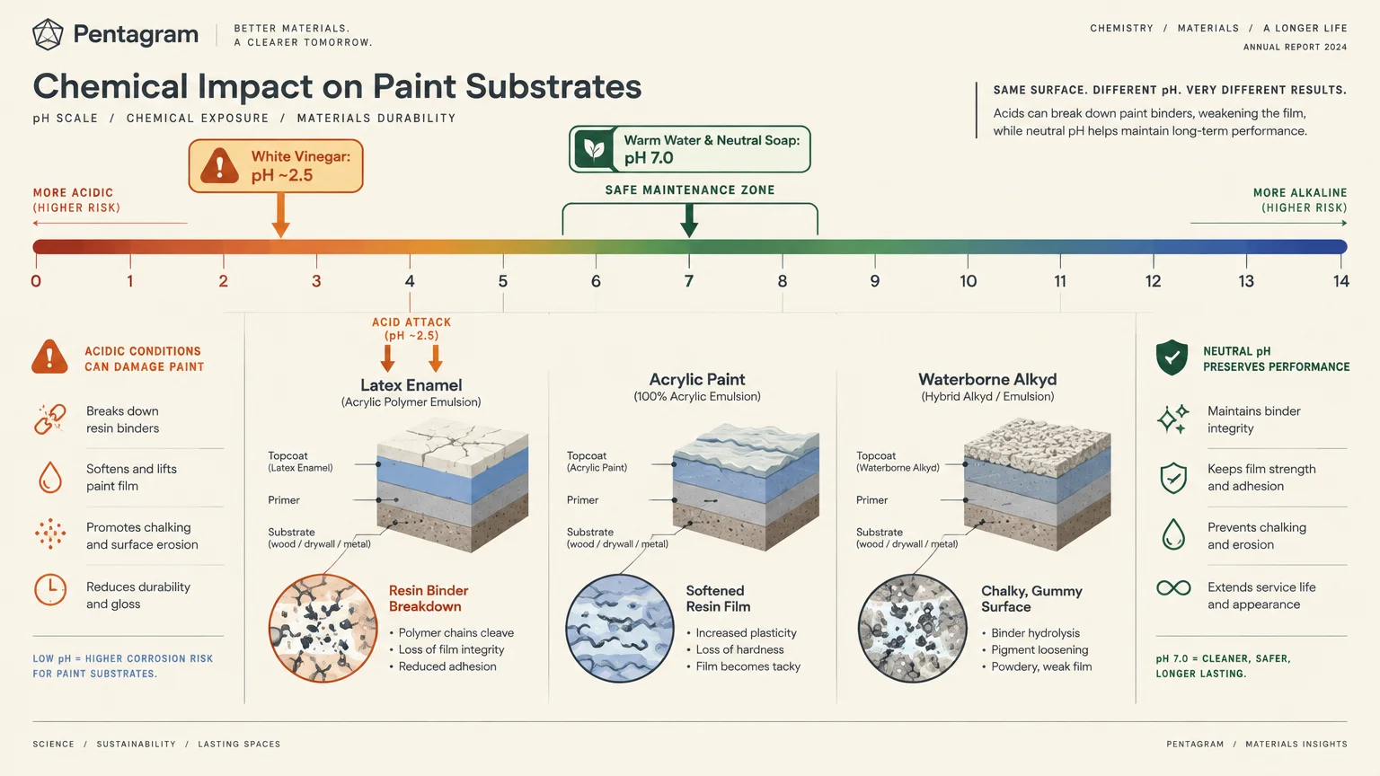 Diagram of a pH scale showing acidic white vinegar damaging paint layers compared to neutral soap.