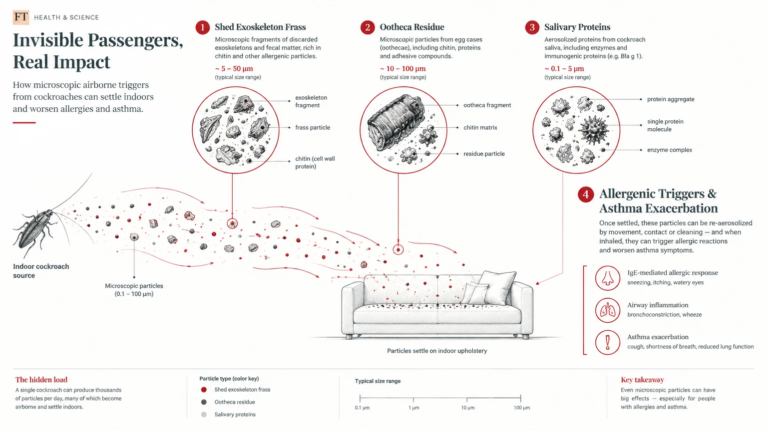 Diagram tracking microscopic cockroach particles, frass, and proteins floating from an insect to settle on a sofa.