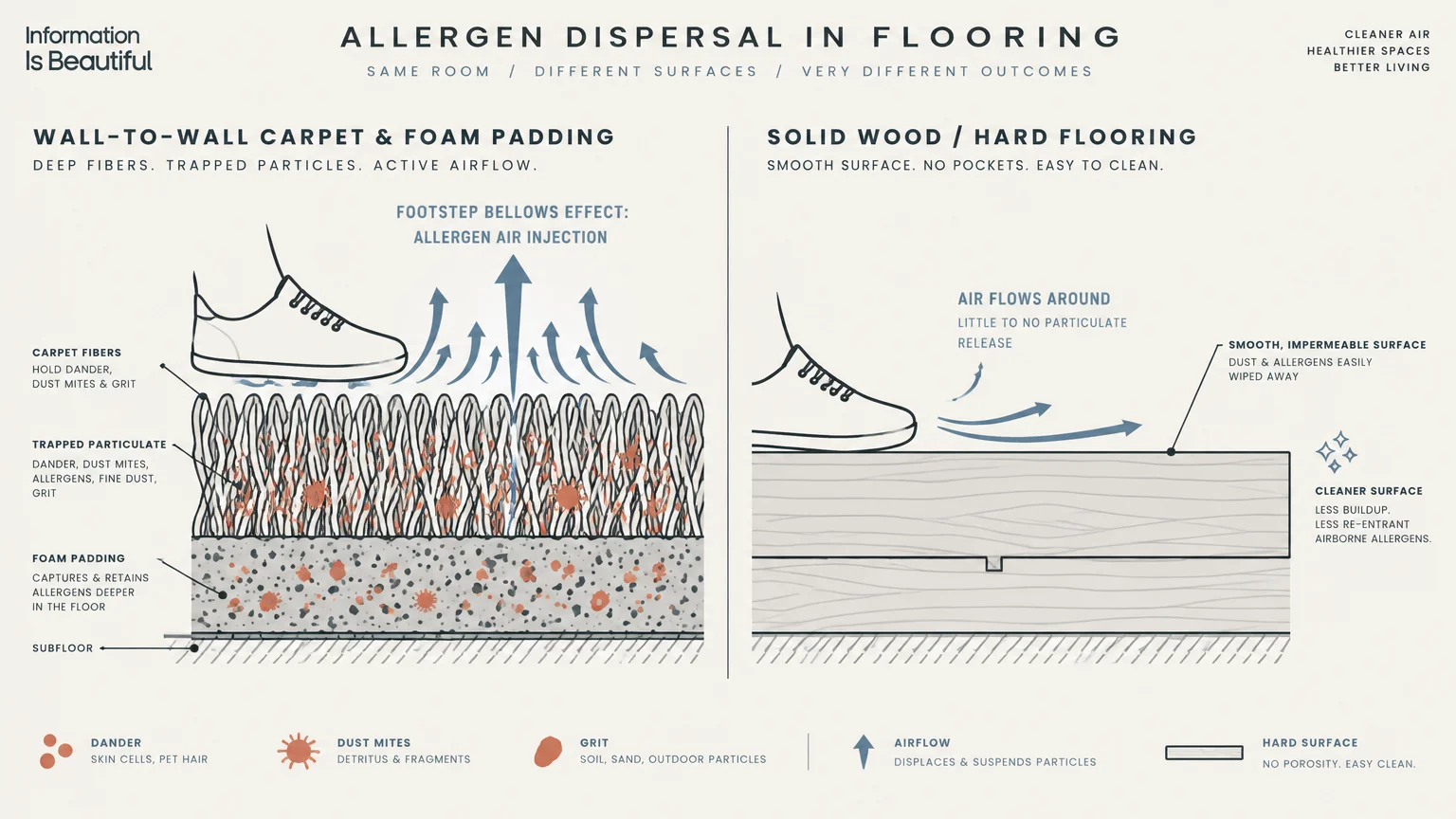 Diagram comparing footstep allergen dispersal from wall-to-wall carpet fibers versus a solid wood hard floor.